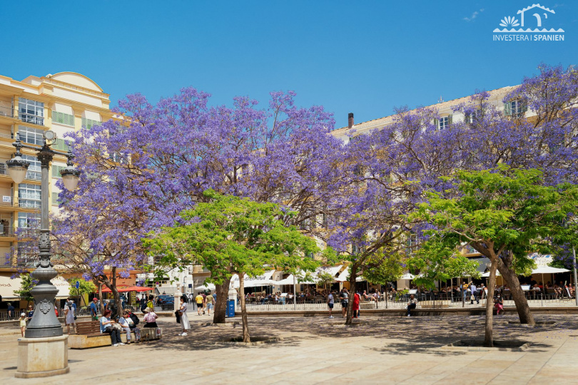 24 huerto del conde, Málaga malaga, 2 Sovrum Sovrum, ,1 BadrumBadrum,Lägenheter,Till salu,huerto del conde,1122