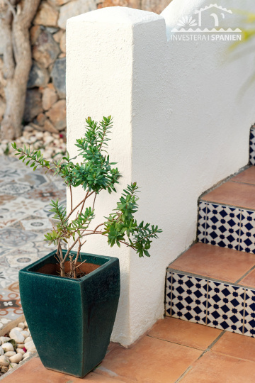 Málaga almunecar, 4 Sovrum Sovrum, ,3 BadrumBadrum,Hus,Till salu,1136